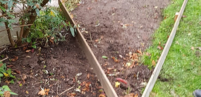 Garden Mainenance
